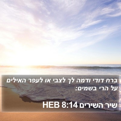 שיר השירים 8:14 HEB Bible Verse Image