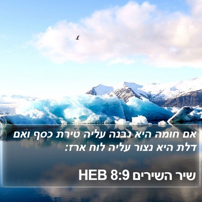 שיר השירים 8:9 HEB Bible Verse Image