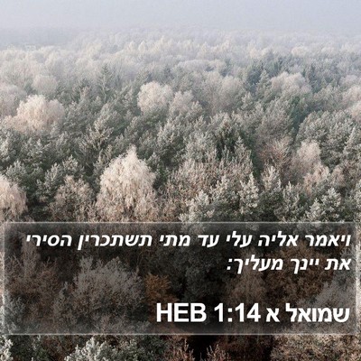 שמואל א 1:14 HEB Bible Verse Image