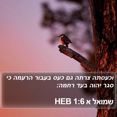 שמואל א 1:6 HEB Bible Verse Image