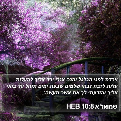 שמואל א 10:8 HEB Bible Verse Image