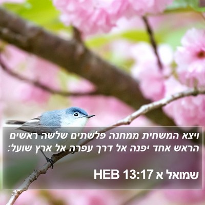 שמואל א 13:17 HEB Bible Verse Image