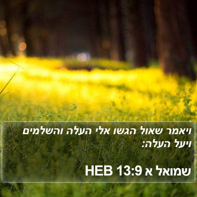שמואל א 13:9 HEB Bible Verse Image