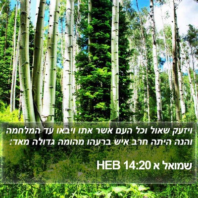 שמואל א 14:20 HEB Bible Verse Image