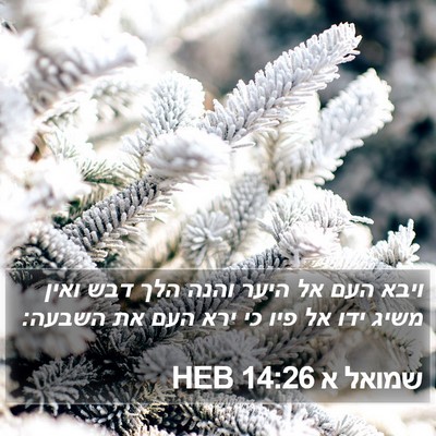 שמואל א 14:26 HEB Bible Verse Image