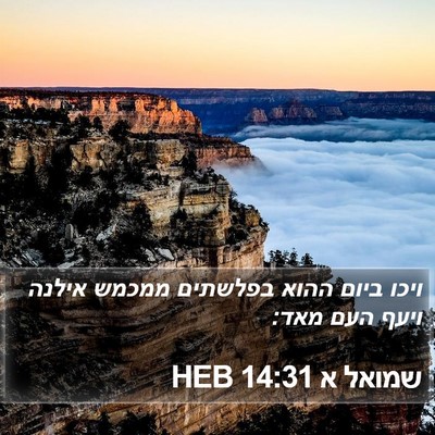 שמואל א 14:31 HEB Bible Verse Image