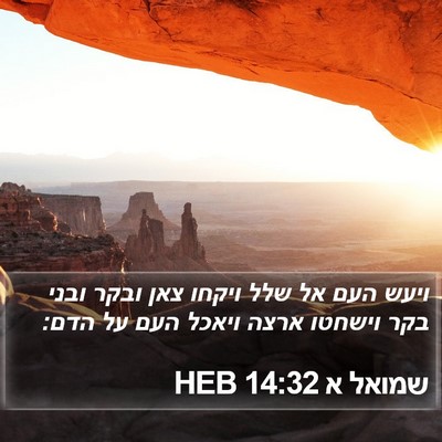 שמואל א 14:32 HEB Bible Verse Image