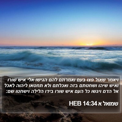שמואל א 14:34 HEB Bible Verse Image
