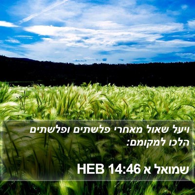 שמואל א 14:46 HEB Bible Verse Image