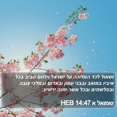 שמואל א 14:47 HEB Bible Verse Image