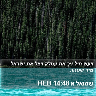 שמואל א 14:48 HEB Bible Verse Image