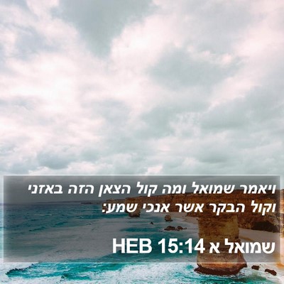 שמואל א 15:14 HEB Bible Verse Image