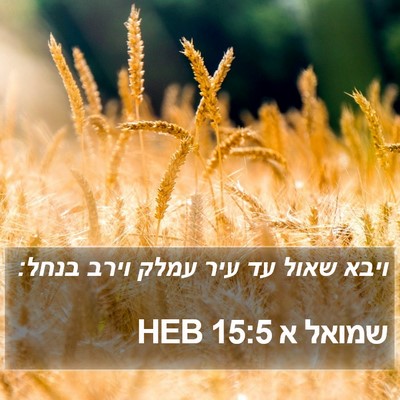 שמואל א 15:5 HEB Bible Verse Image