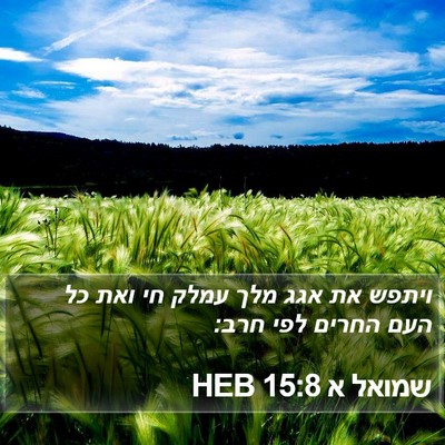 שמואל א 15:8 HEB Bible Verse Image