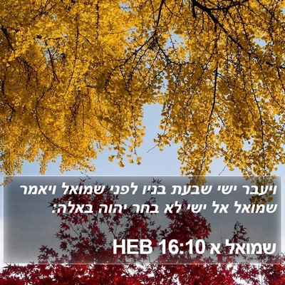 שמואל א 16:10 HEB Bible Verse Image