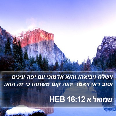 שמואל א 16:12 HEB Bible Verse Image