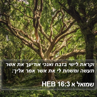 שמואל א 16:3 HEB Bible Verse Image