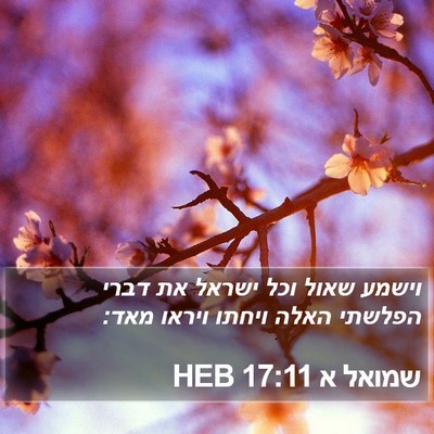שמואל א 17:11 HEB Bible Verse Image