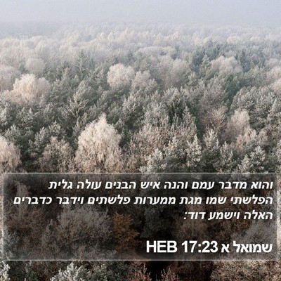 שמואל א 17:23 HEB Bible Verse Image