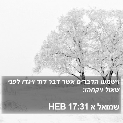 שמואל א 17:31 HEB Bible Verse Image