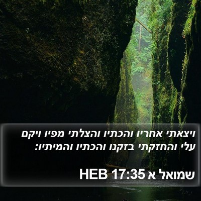 שמואל א 17:35 HEB Bible Verse Image