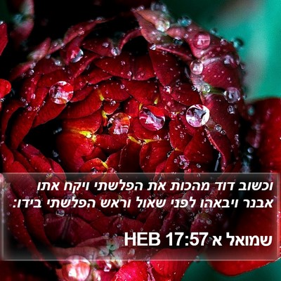 שמואל א 17:57 HEB Bible Verse Image