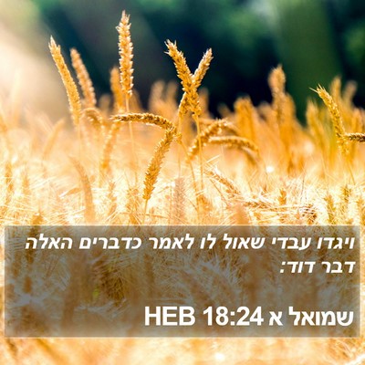שמואל א 18:24 HEB Bible Verse Image