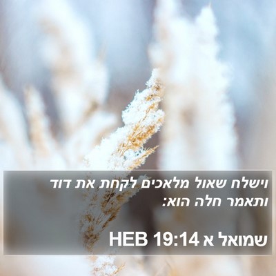שמואל א 19:14 HEB Bible Verse Image