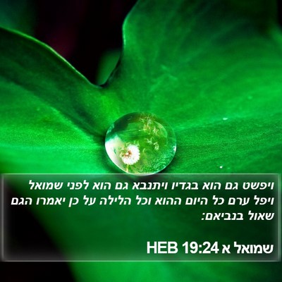 שמואל א 19:24 HEB Bible Verse Image