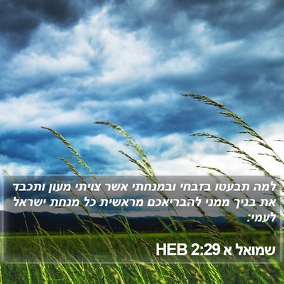 שמואל א 2:29 HEB Bible Verse Image
