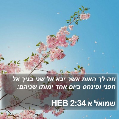 שמואל א 2:34 HEB Bible Verse Image