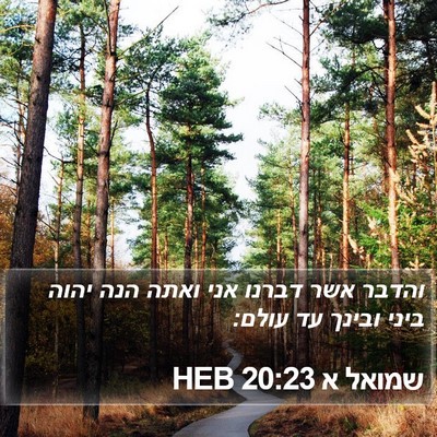שמואל א 20:23 HEB Bible Verse Image