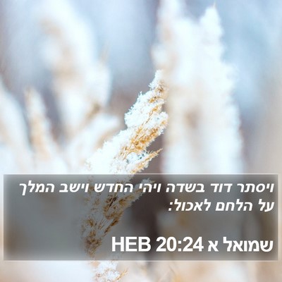 שמואל א 20:24 HEB Bible Verse Image