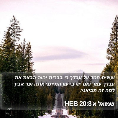 שמואל א 20:8 HEB Bible Verse Image