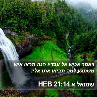 שמואל א 21:14 HEB Bible Verse Image