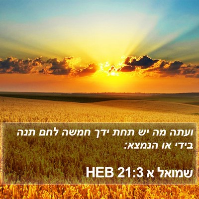 שמואל א 21:3 HEB Bible Verse Image