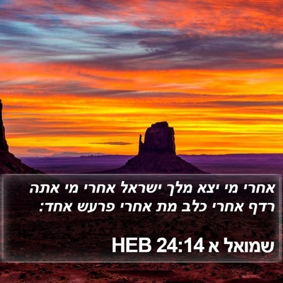שמואל א 24:14 HEB Bible Verse Image