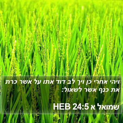 שמואל א 24:5 HEB Bible Verse Image