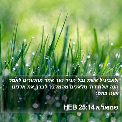 שמואל א 25:14 HEB Bible Verse Image