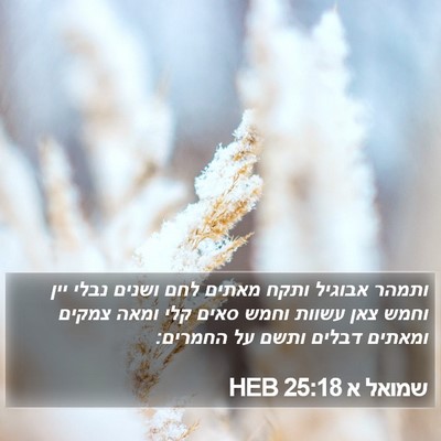שמואל א 25:18 HEB Bible Verse Image