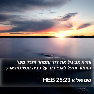 שמואל א 25:23 HEB Bible Verse Image