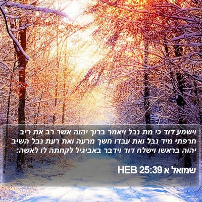 שמואל א 25:39 HEB Bible Verse Image