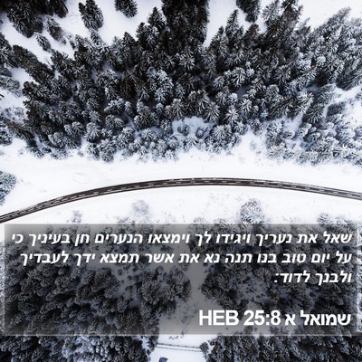 שמואל א 25:8 HEB Bible Verse Image