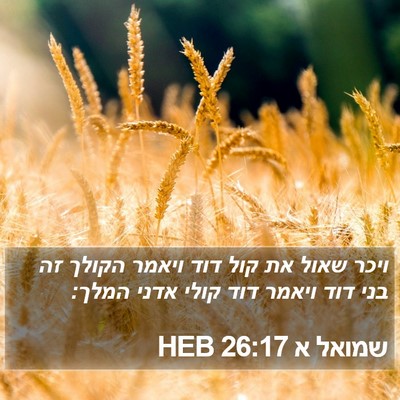 שמואל א 26:17 HEB Bible Verse Image