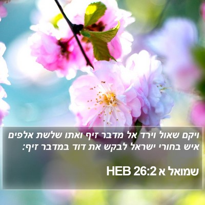 שמואל א 26:2 HEB Bible Verse Image
