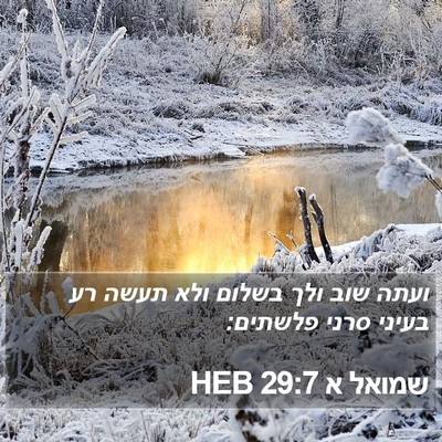 שמואל א 29:7 HEB Bible Verse Image