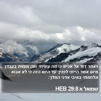 שמואל א 29:8 HEB Bible Verse Image