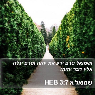 שמואל א 3:7 HEB Bible Verse Image