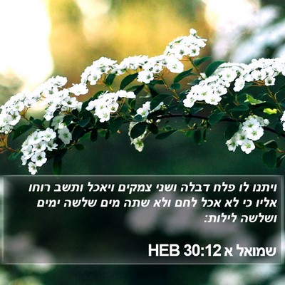 שמואל א 30:12 HEB Bible Verse Image