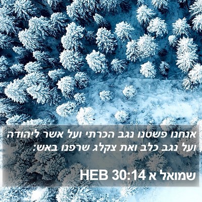 שמואל א 30:14 HEB Bible Verse Image
